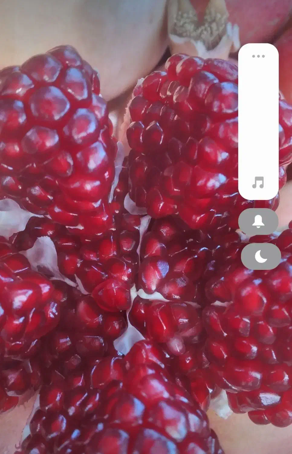 رب انار ،آب انار ،ناردونه سفیدوقرمز کوهمره سرخی|عمدهفروشی|شیراز, محمدیه|دیوار