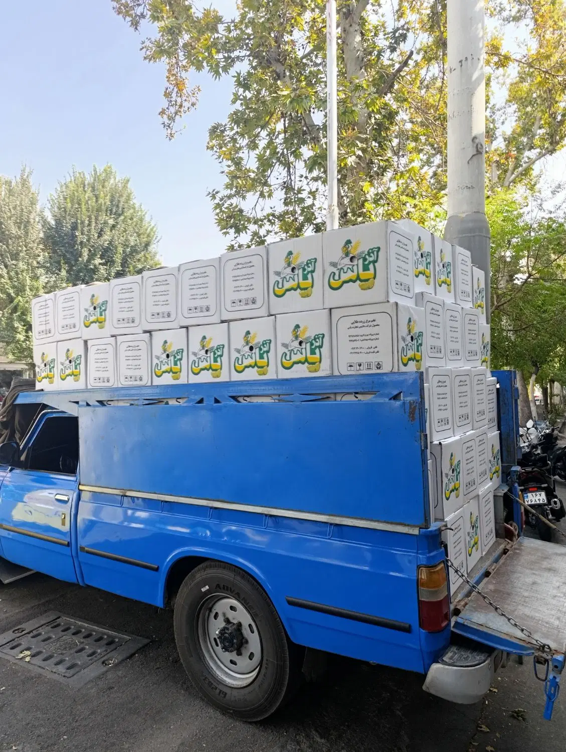 پخش تخم مرغ قیمت درب کارخانه|خوردنی و آشامیدنی|تهران, ایران|دیوار