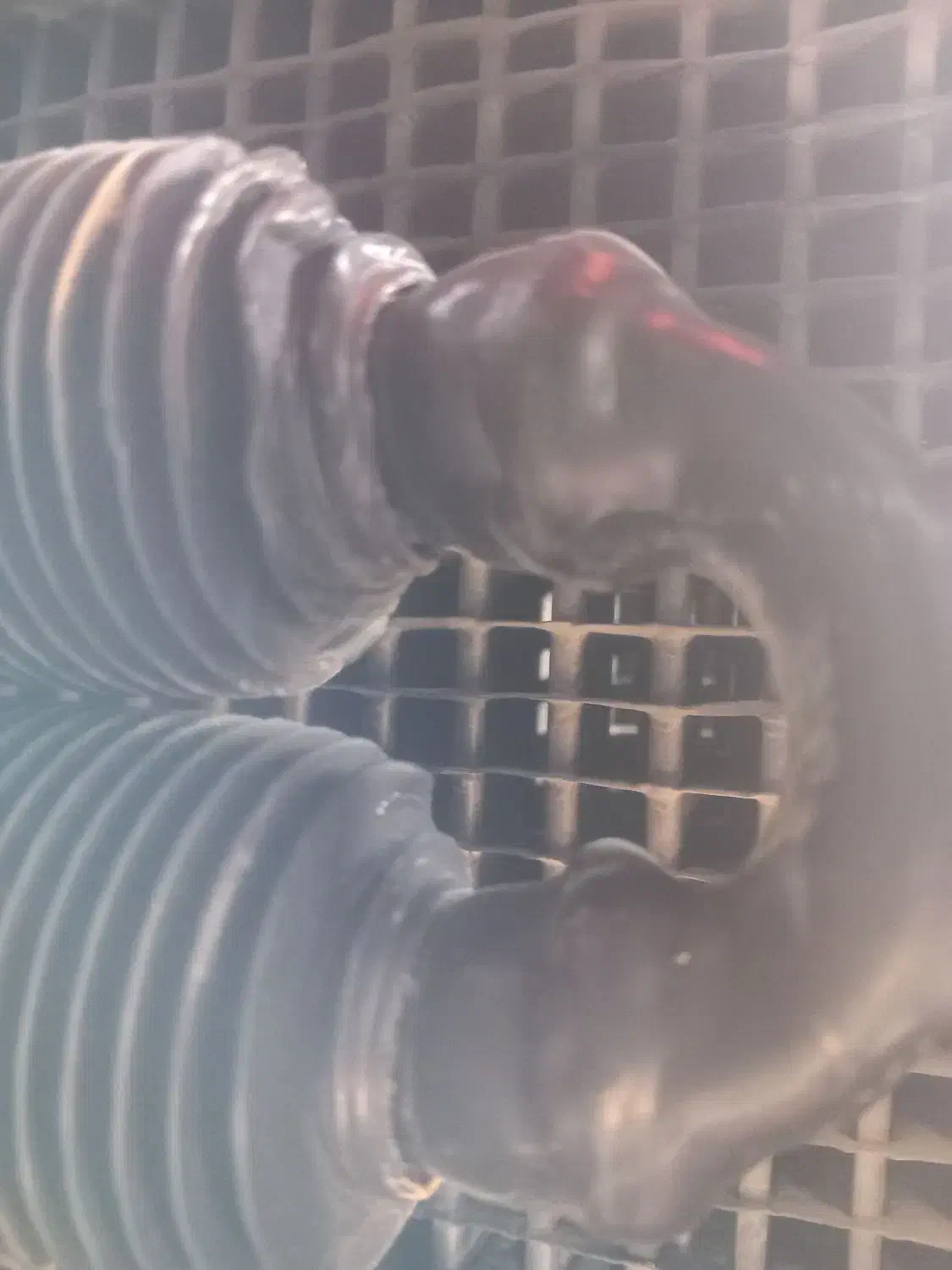 تراکتور ۱۴۰۲|خودرو سنگین|خمین, |دیوار