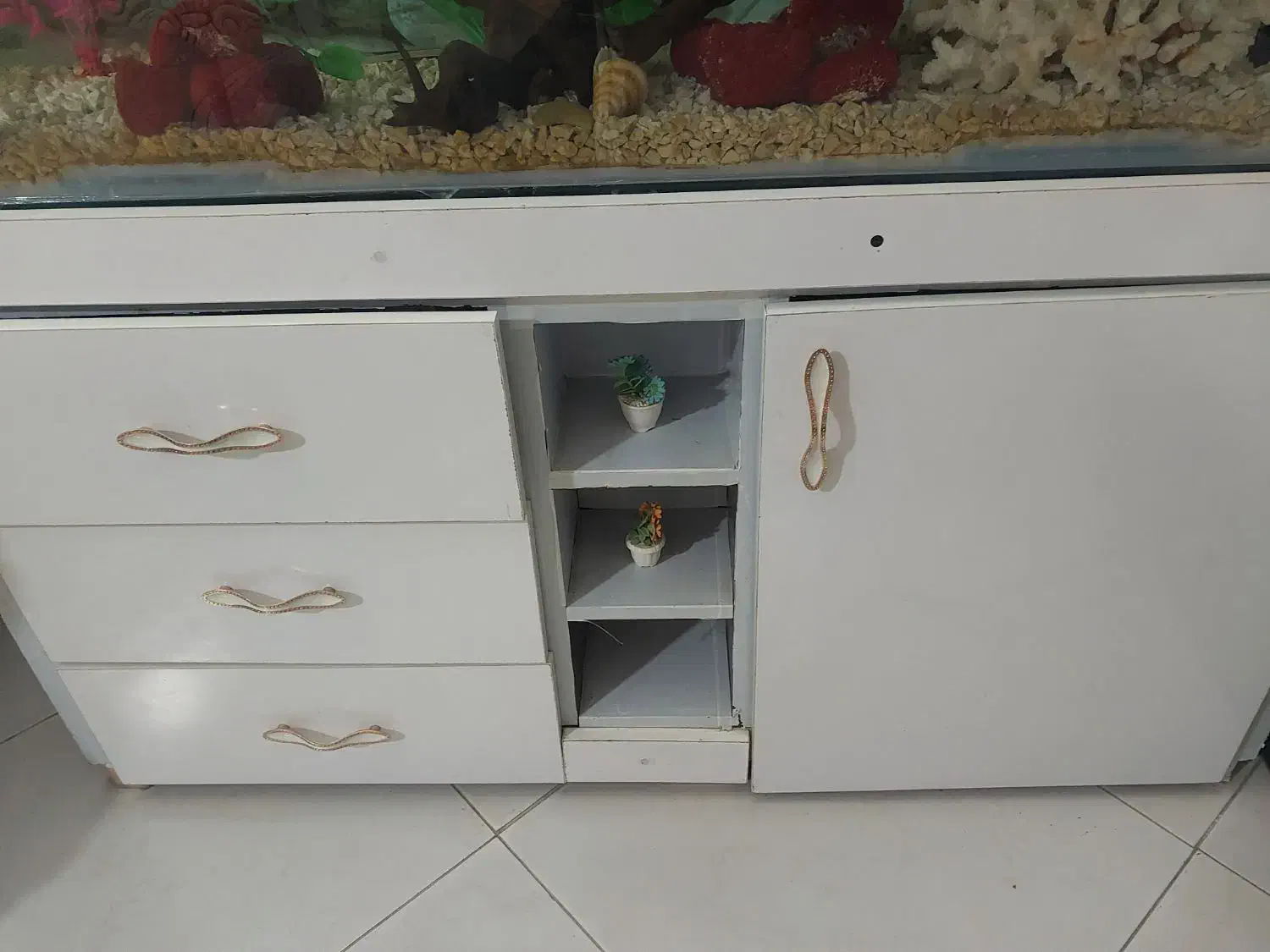 آگواریوم ۱۲۰ در ۷۰|ماهی|مشهد, انقلاب|دیوار