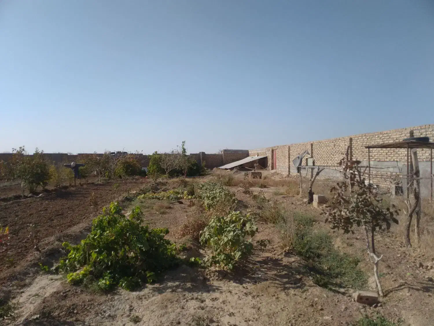 فروش باغ شادمهر|فروش خانه و ویلا|تربتحیدریه, پائین ولایت|دیوار