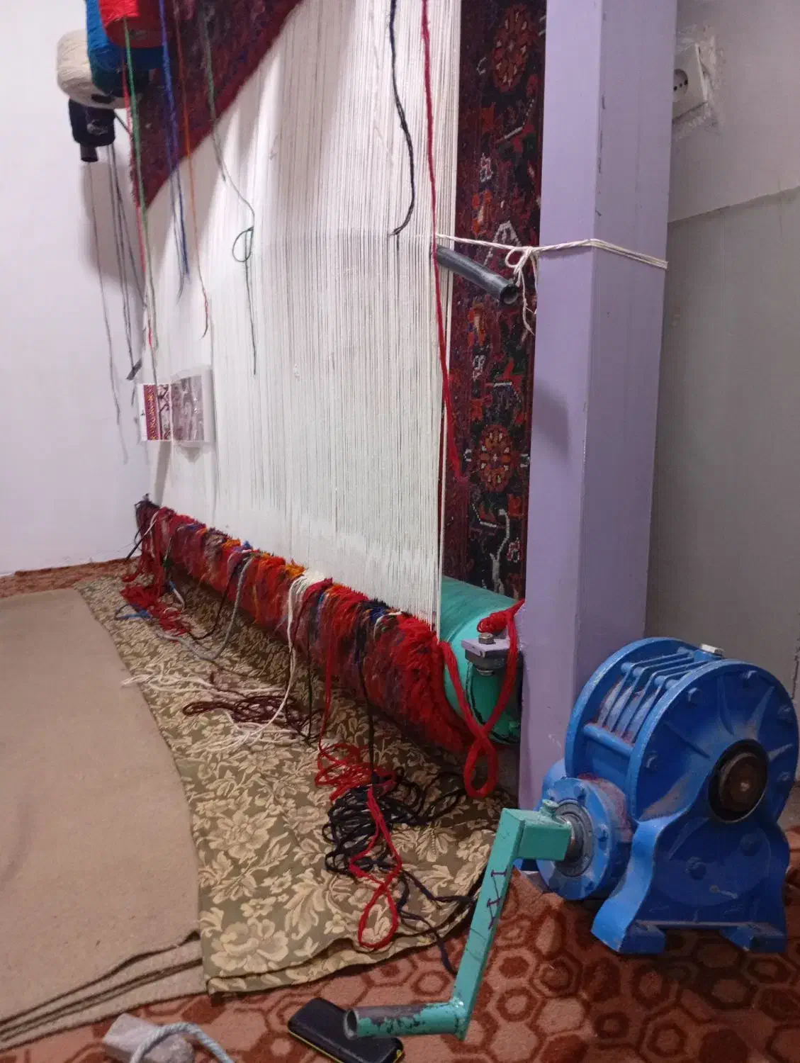 دار قالی|فرش|میانه, |دیوار