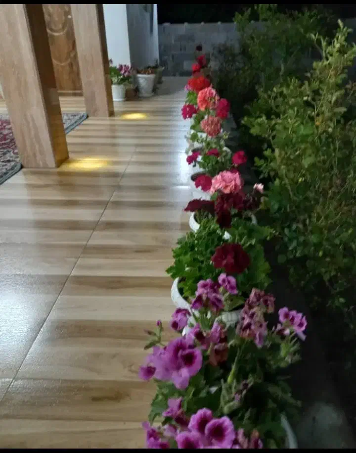 ویلا باغ روستایی|اجارهٔ کوتاهمدت ویلا و باغ|شفت, |دیوار