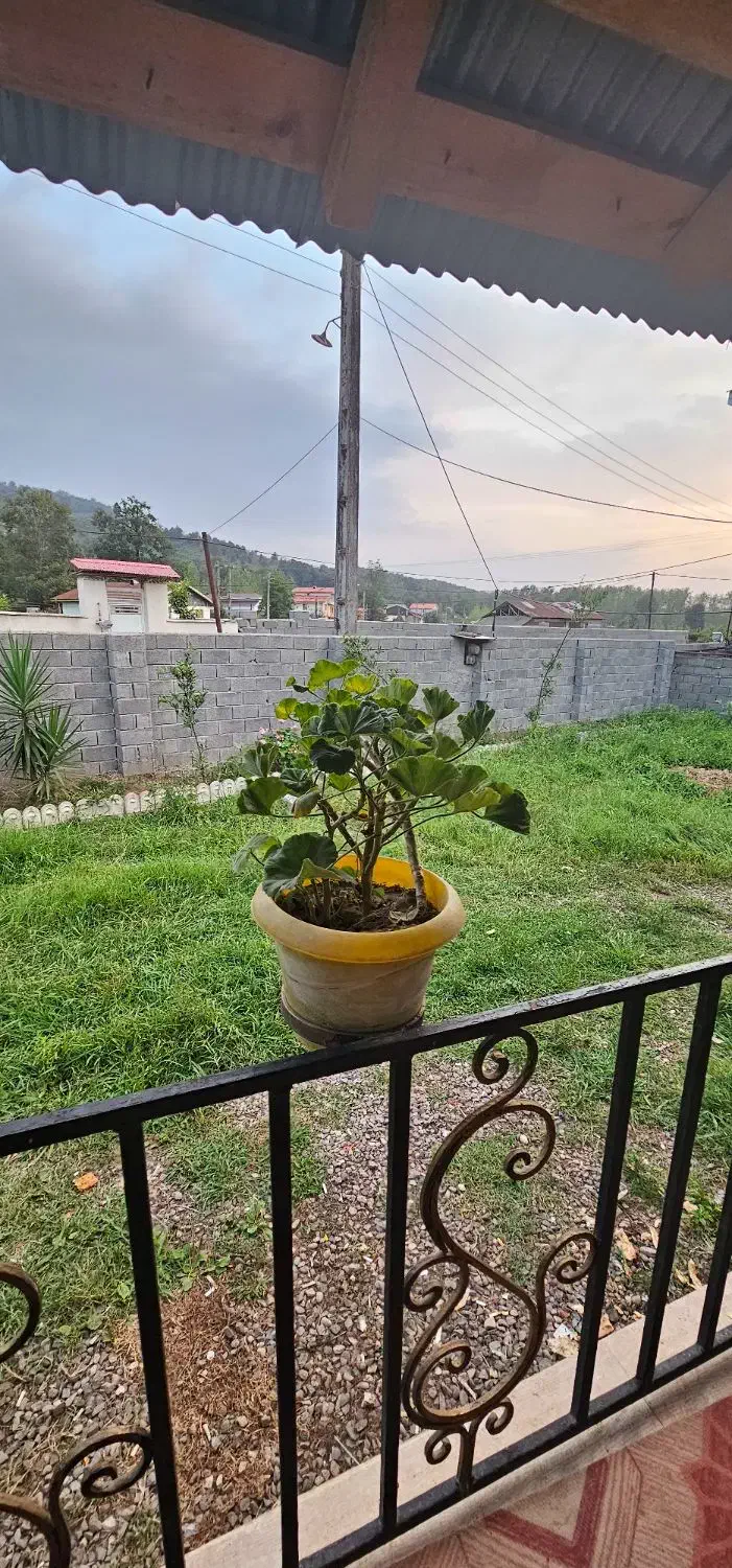 فروش ویلاجنگلی ۴۰۰متر/دوقدمی رودخانه/سرای مهر|فروش خانه و ویلا|سیاهکل, |دیوار