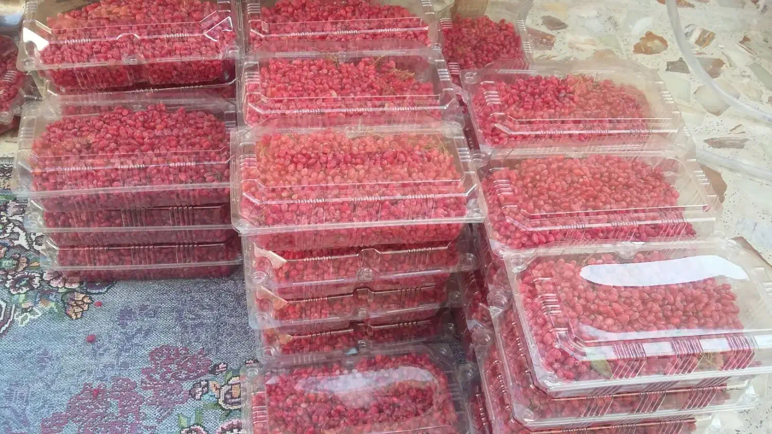 زرشک تازه (سوغات خراسان جنوبی )|خوردنی و آشامیدنی|ایرانشهر, |دیوار