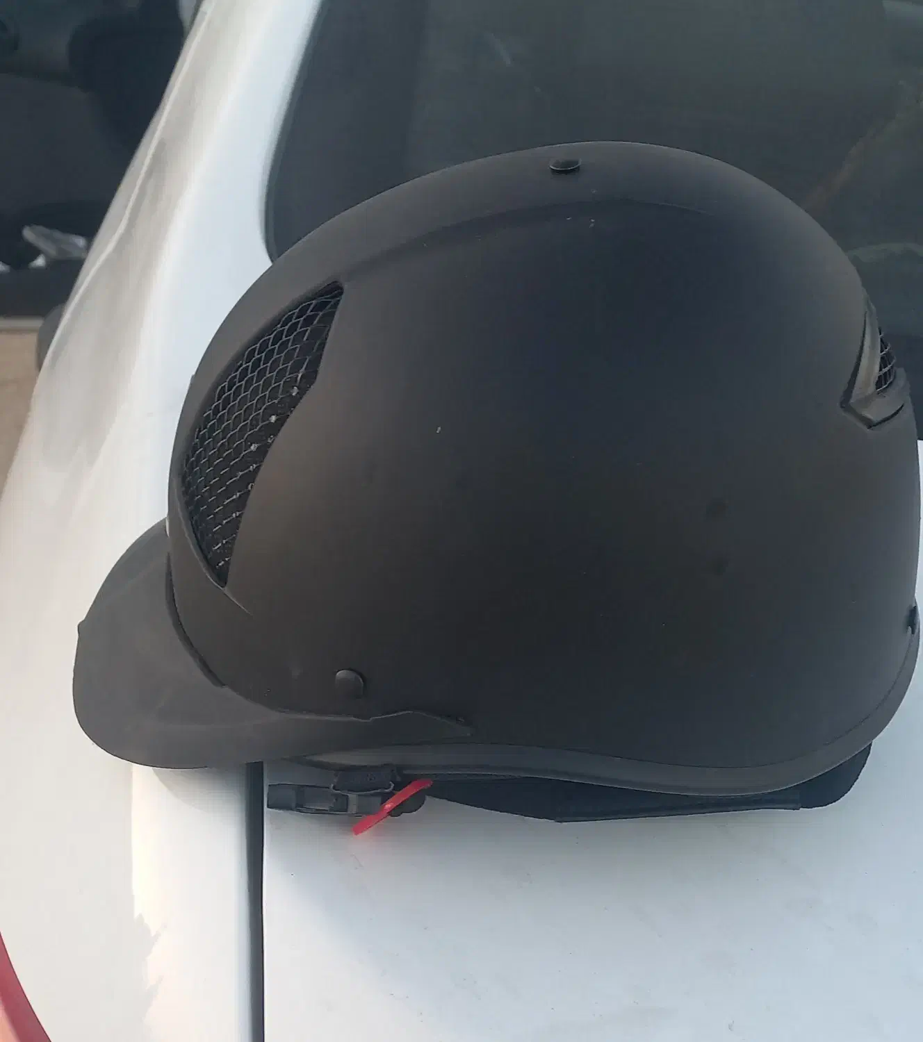 شخصی|اسب و تجهیزات اسبسواری|شیراز, آزادی|دیوار