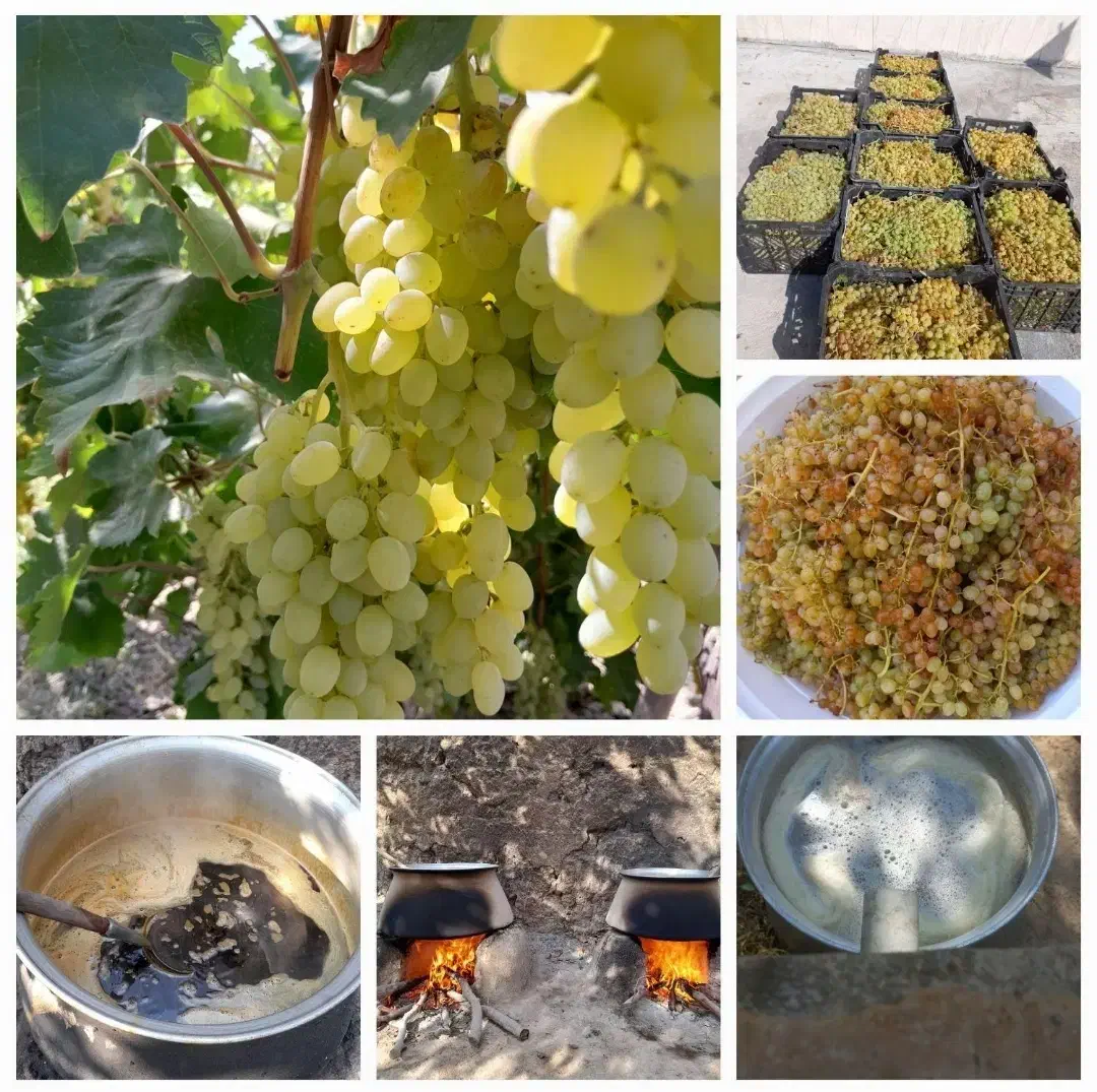 عسل آویشن خار شتر شیره انگور|خوردنی و آشامیدنی|ساری, |دیوار