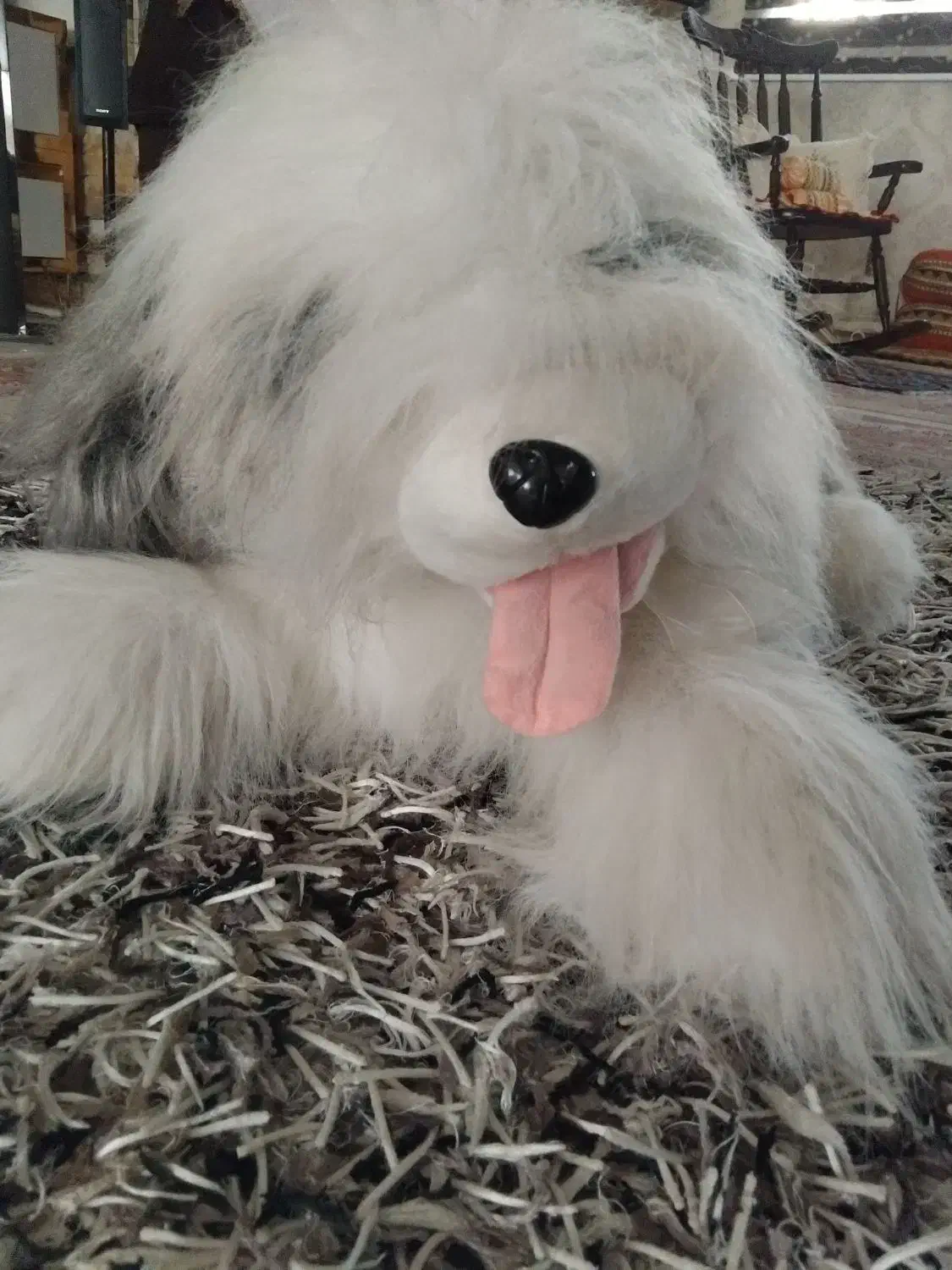 اسباب بازی|اسباببازی بچه|تبریز, |دیوار