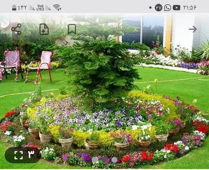 اجرای فضای سبز و باغچه کاری و گیاهان اپارتمانی|خدمات باغبانی و درختکاری|قم, هفت تیر|دیوار