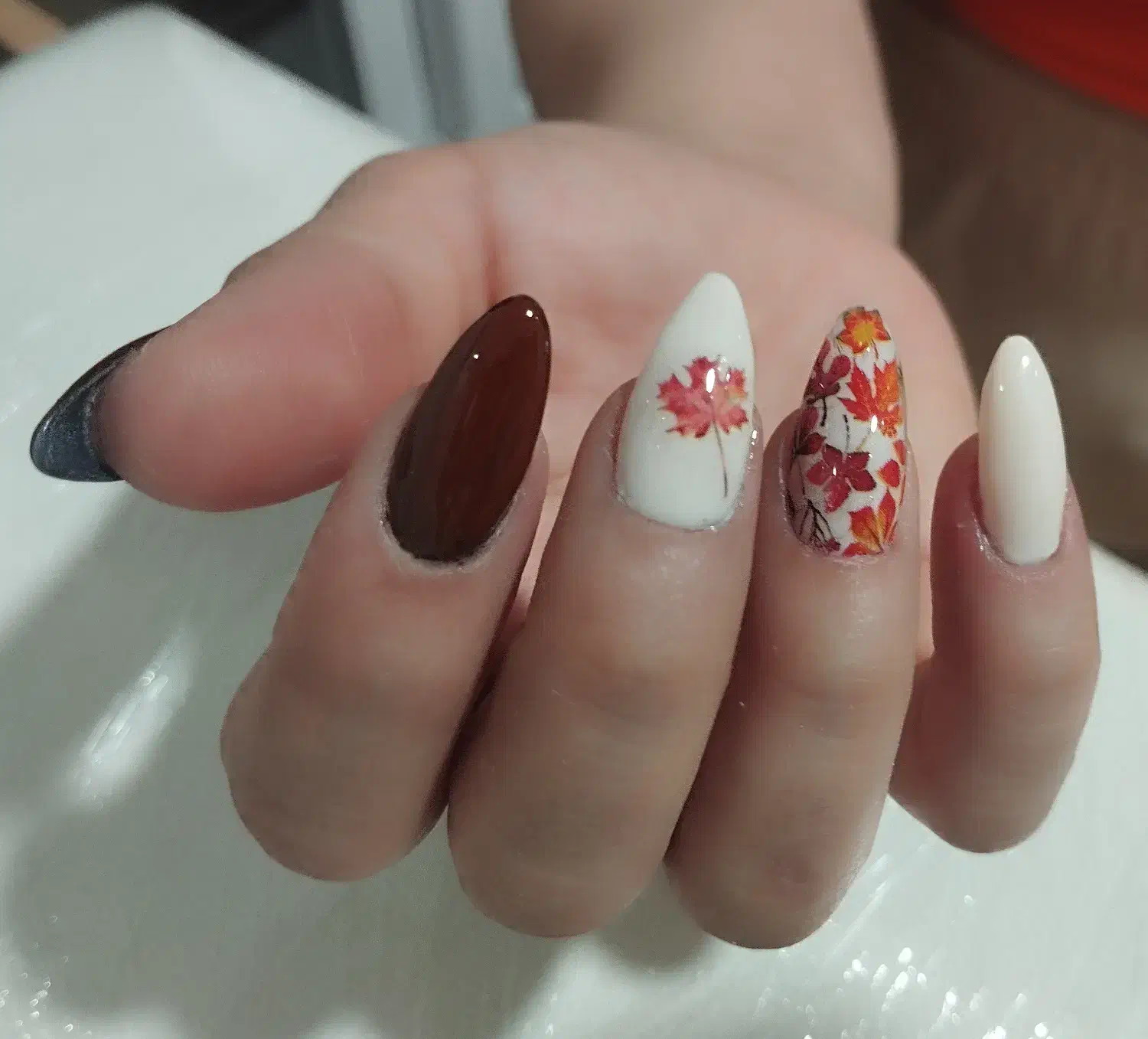 خدمات ناخن با تخفیف ویژه|خدمات آرایشگری و زیبایی|شیراز, ریشمک|دیوار