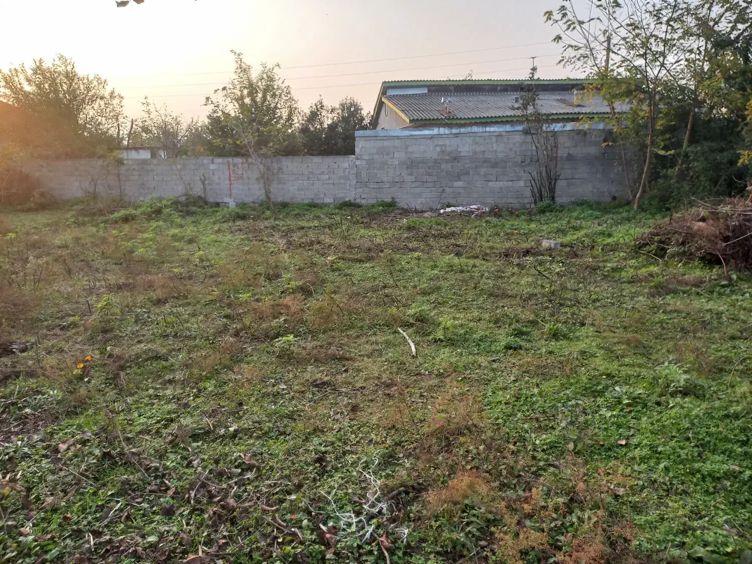 ۲۵۰ متر زمین مسکونی روستایی.سند تک برگ|فروش زمین و ملک کلنگی|رضوانشهر, |دیوار