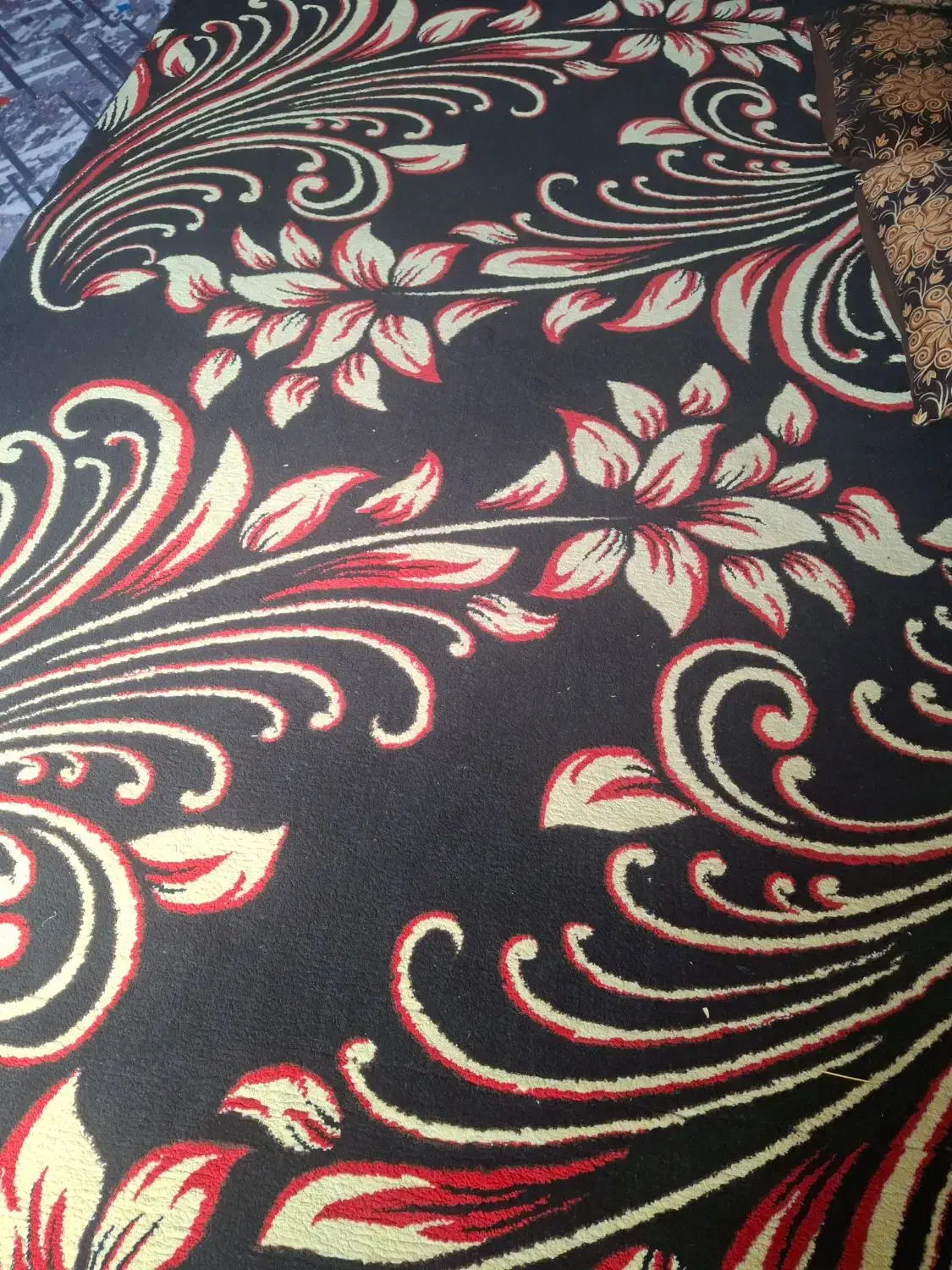 قالی گلیم|گلیم، جاجیم، گبه|کرمان, |دیوار