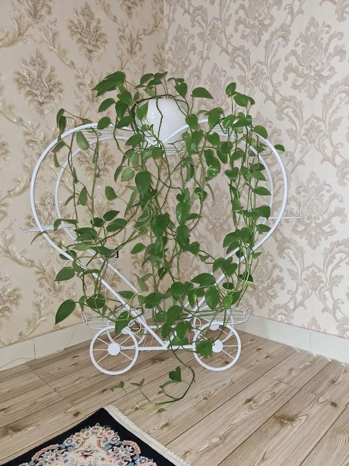 استند گلدان با گل|گل و گیاه طبیعی|شاهین دژ, |دیوار