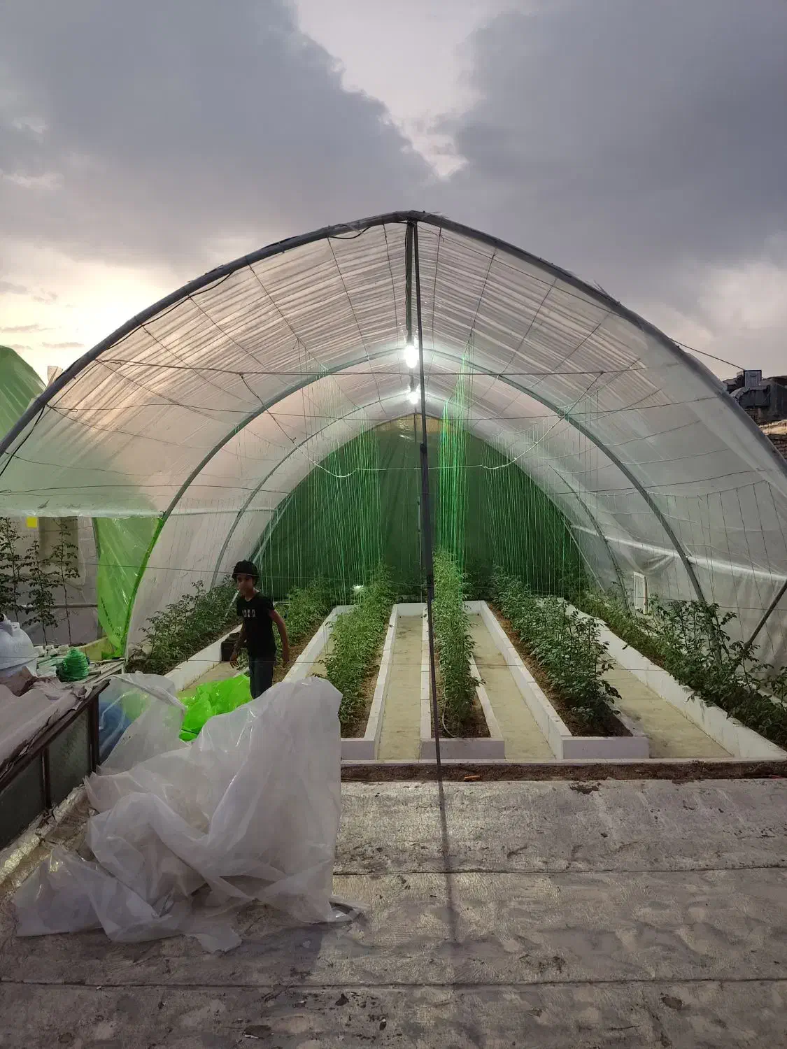 سازه گلخانه|عمدهفروشی|شیراز, شریفآباد|دیوار