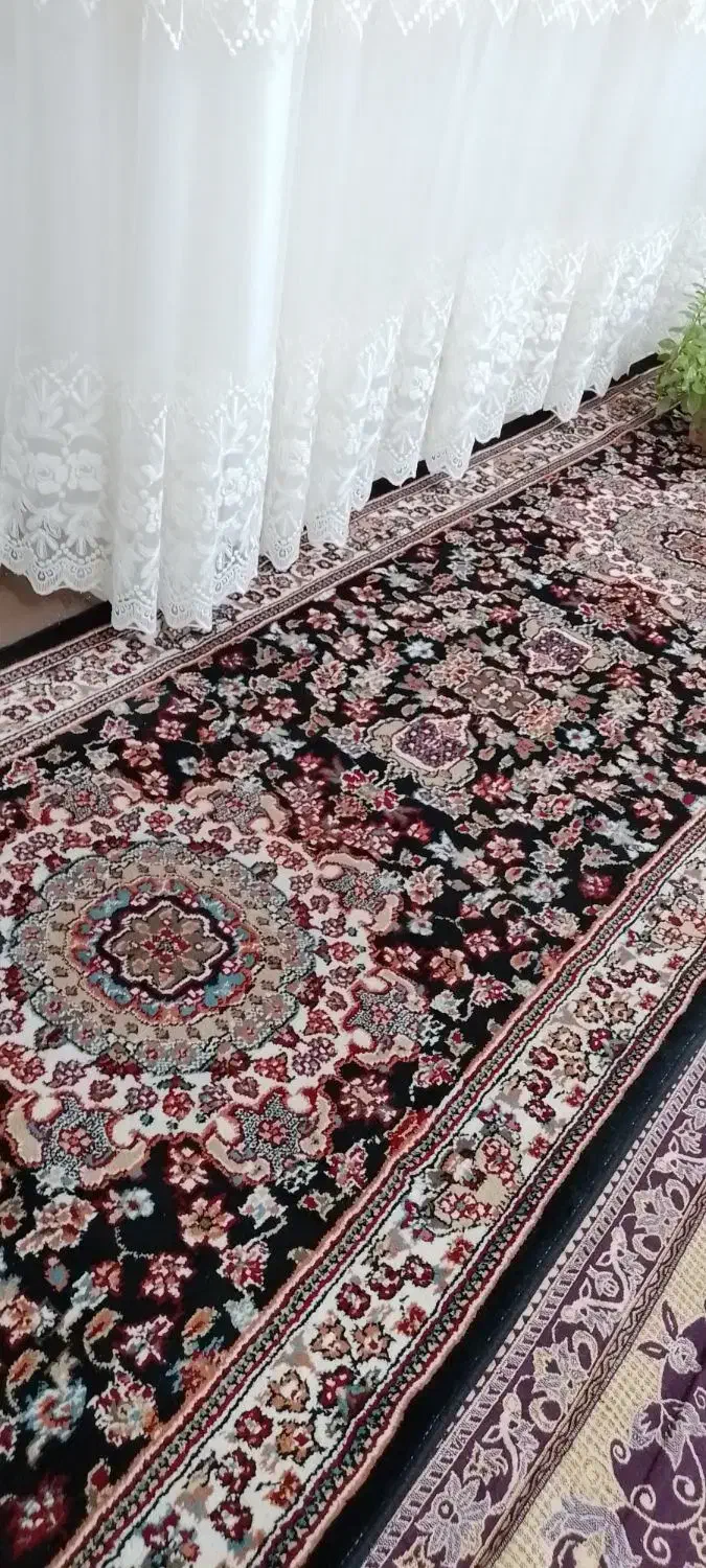 کناره نو|فرش|تربت‌حیدریه, پائین ولایت|دیوار