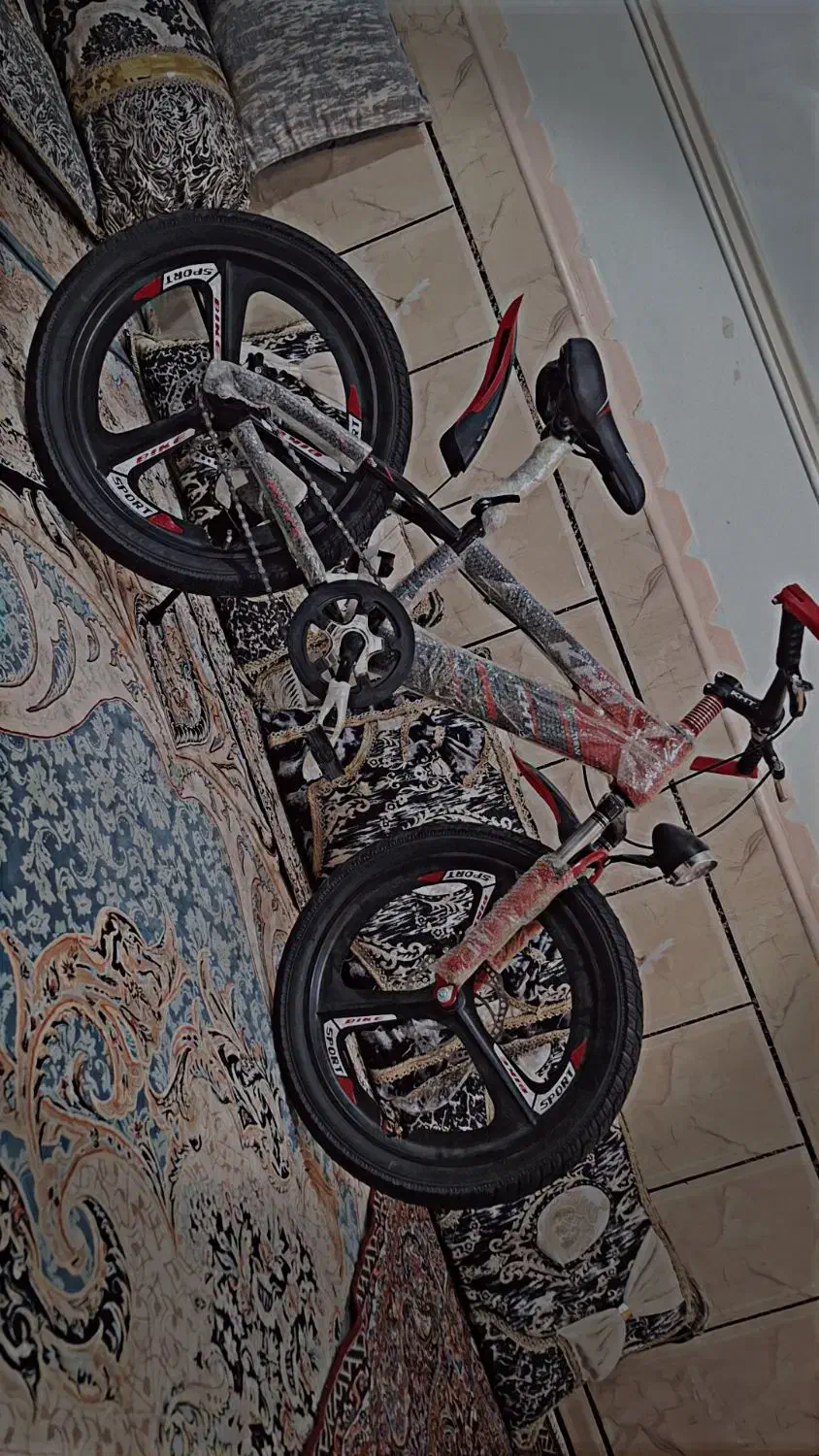 دوچرخه 20|دوچرخه، اسکیت، اسکوتر|هیرمند, |دیوار