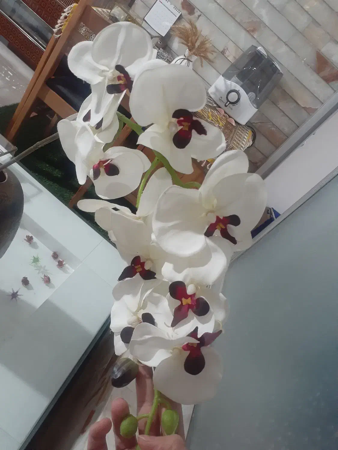 گل مصنوعی ارکیده|گل مصنوعی|اصفهان, جلالیه|دیوار