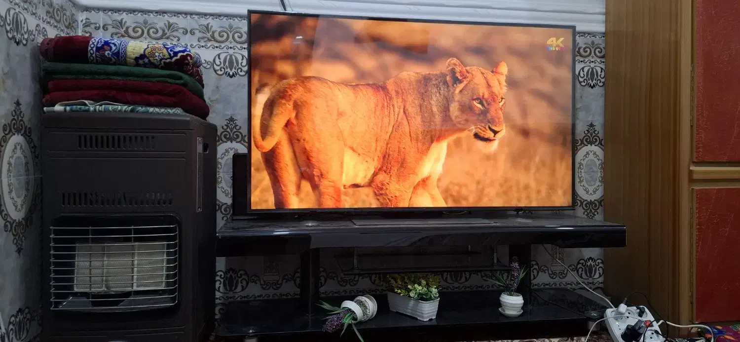 تلویزیون ال جی QNED86 سایز ۵۵ اینچ Ultra 2024|تلویزیون و پروژکتور|سراوان, |دیوار