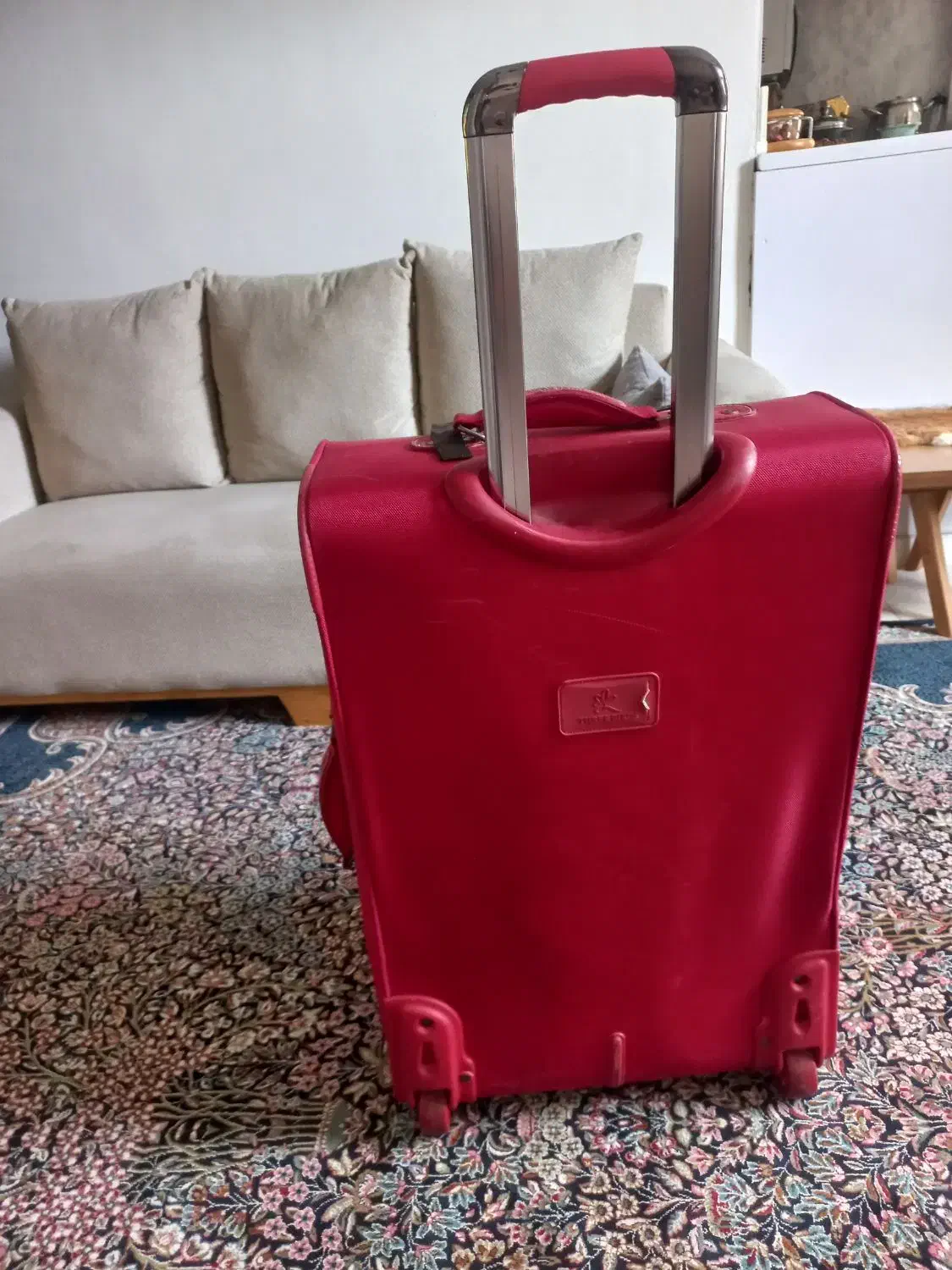 چمدان برزنتی|کیف، کفش، کمربند|رشت, نظری|دیوار