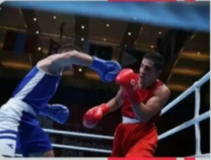 آموزش بوکس|خدمات آموزشی|گرگان, |دیوار