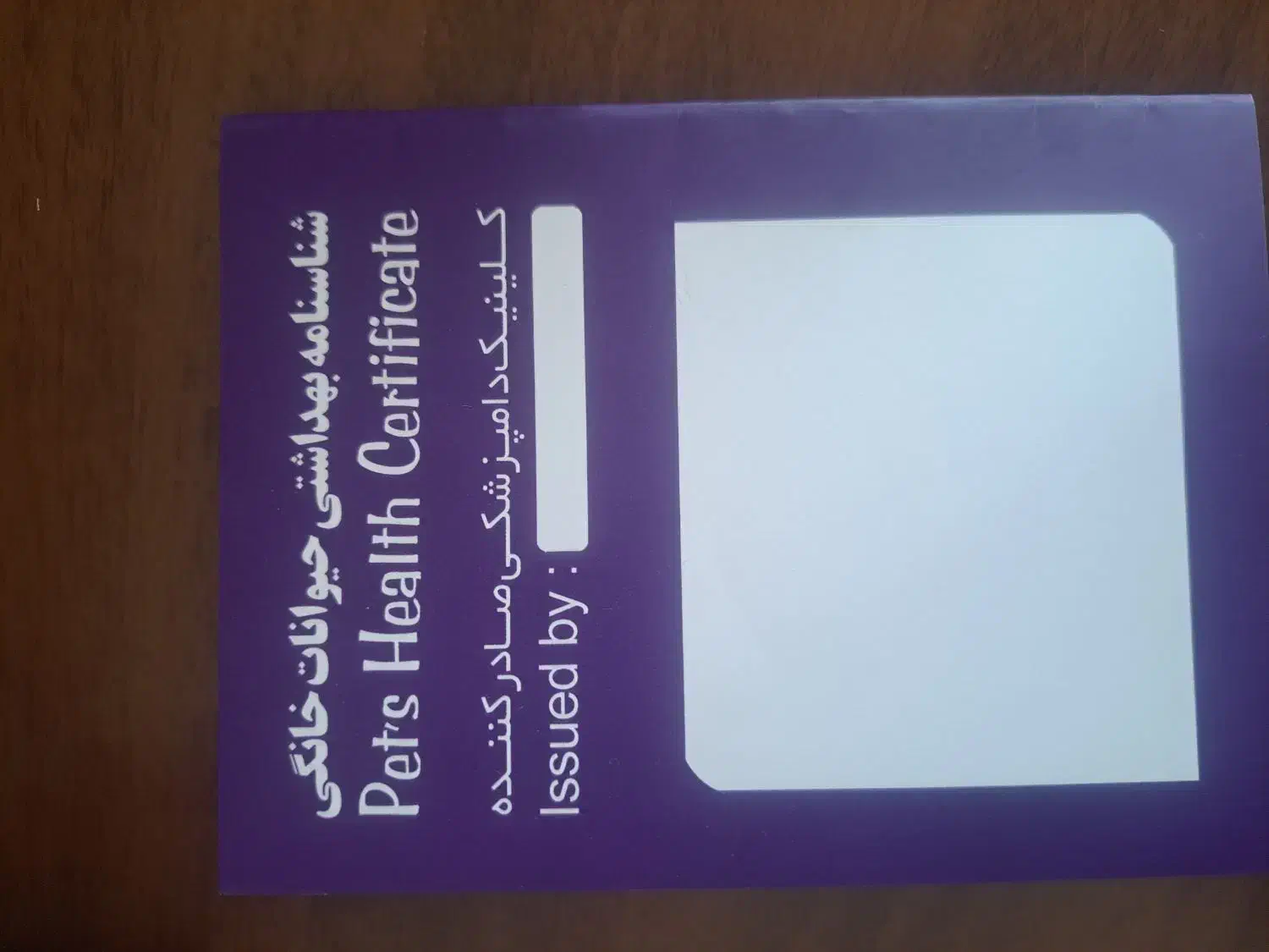 توله ژرمن شپرد|سگ|یزد, |دیوار