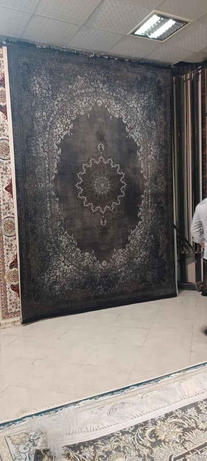 فرش|فرش|قم, نخودی|دیوار