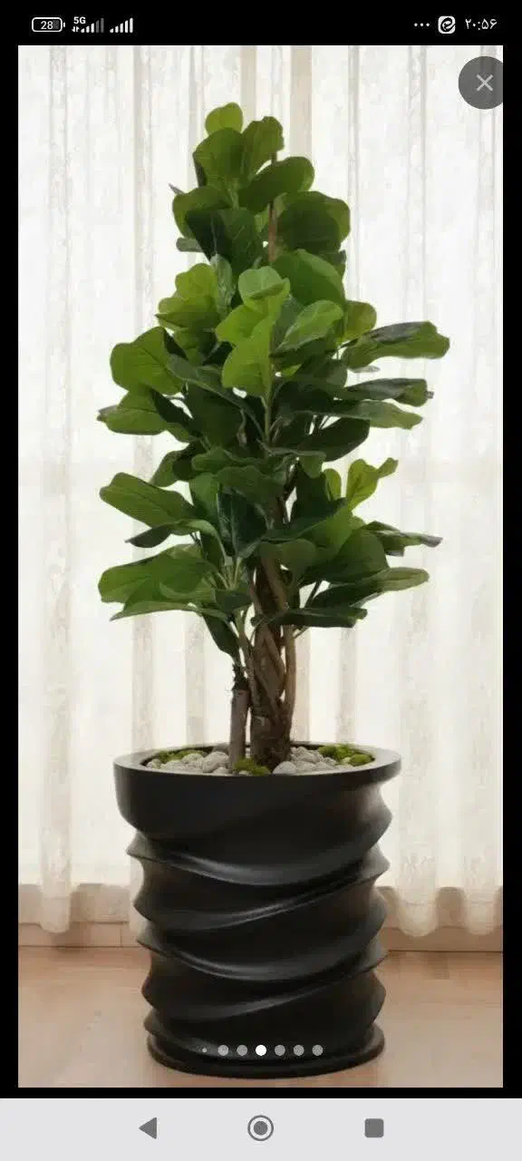 درختچه مصنوعی|گل مصنوعی|پرند, فاز ۴|دیوار