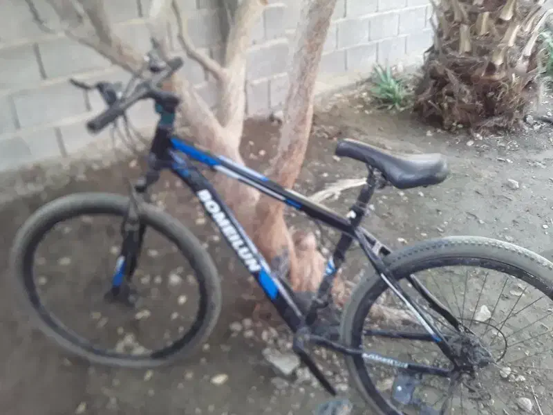 سلام این چرخ من خریدم ۱۵ ۱۲ ملیون میفرشمشسال|دوچرخه، اسکیت، اسکوتر|کهنوج, |دیوار