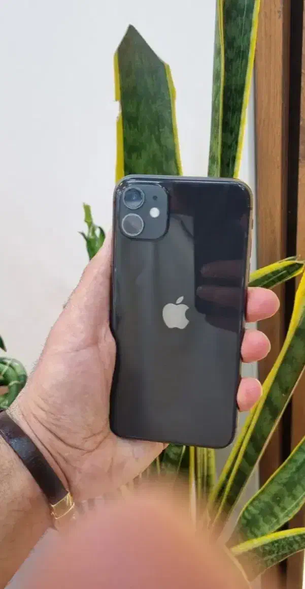 iPhone 11 normal 128|موبایل|تهران, شیخ هادی|دیوار