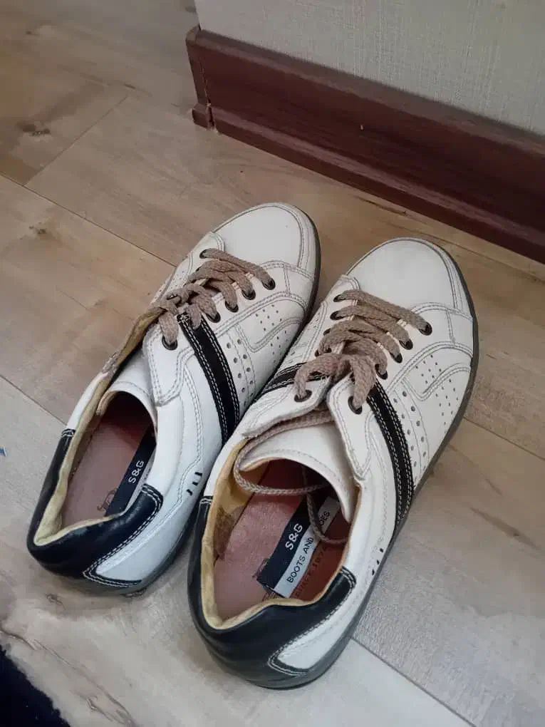 چند جفت کتونی خارجی نو اورجینال|کیف، کفش، کمربند|مشکیندشت, |دیوار