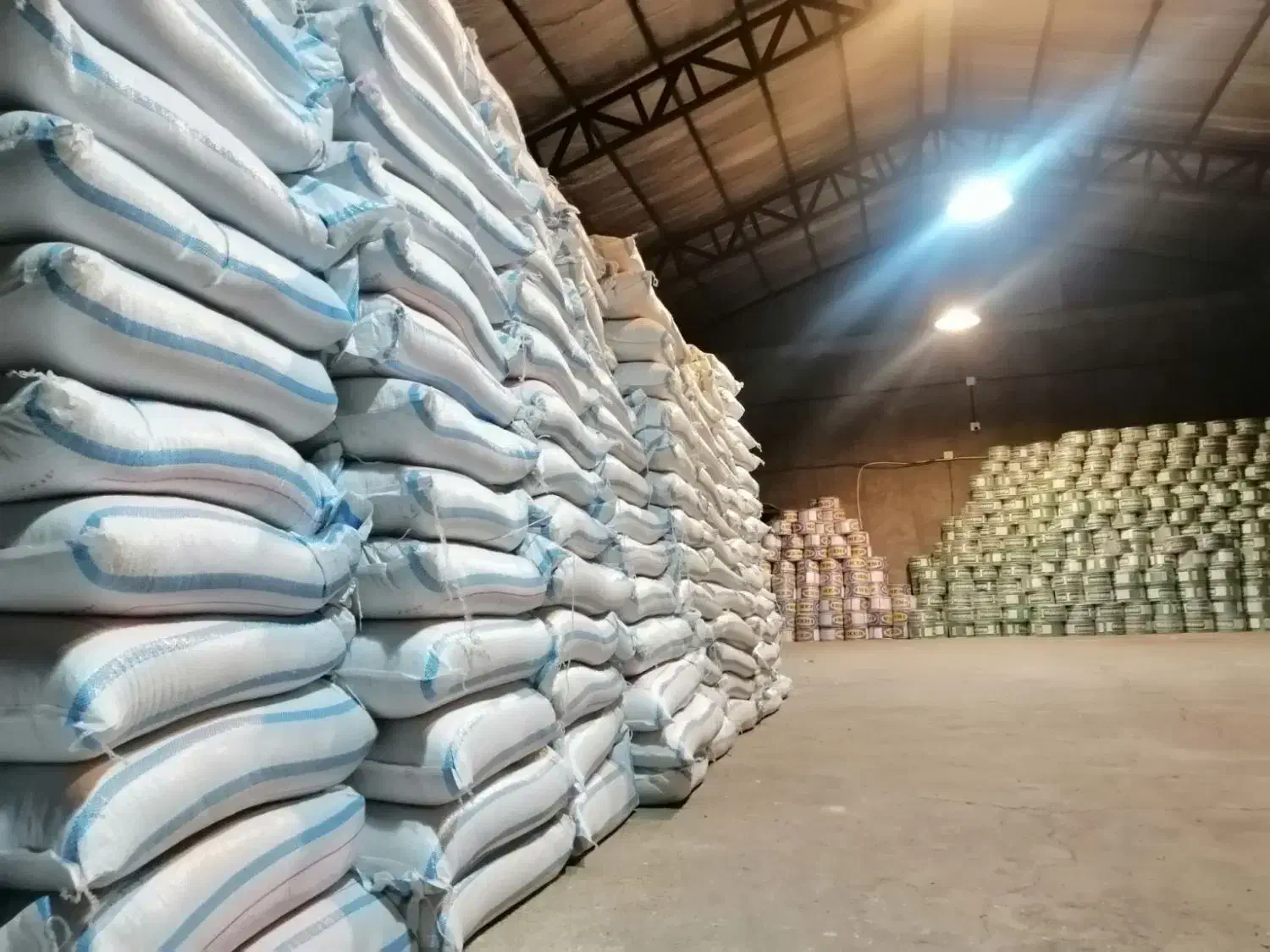 کود دی آمونیوم فسفات (DAP) گرانوله رازی پاییزه|خدمات باغبانی و درختکاری|شیرینسو, |دیوار