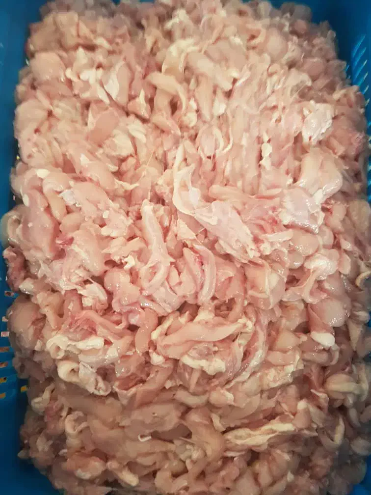 خرده مرغ (بچه فیله)|عمدهفروشی|شریفآباد, |دیوار