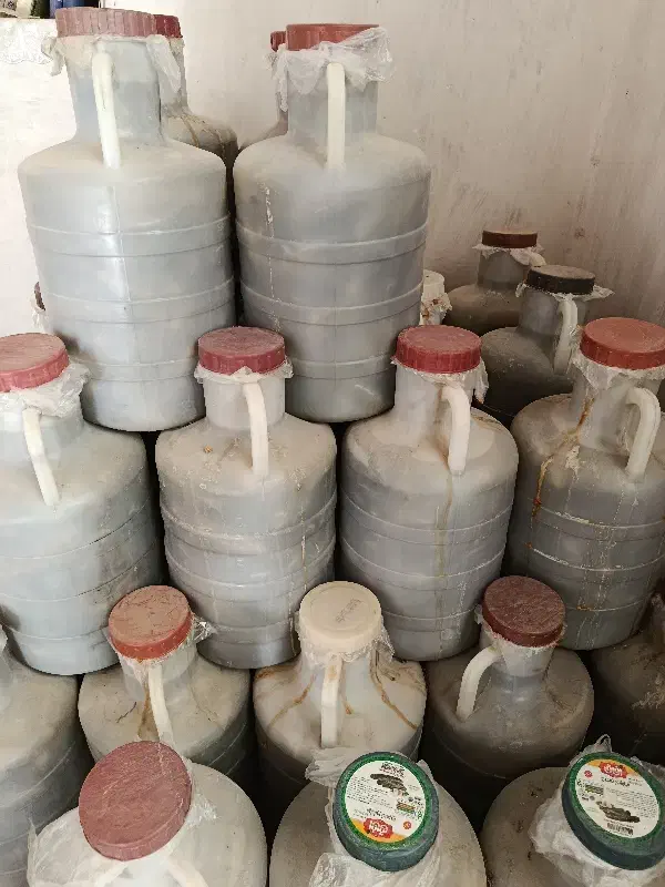 خیارشور نول|خوردنی و آشامیدنی|سردرود, |دیوار