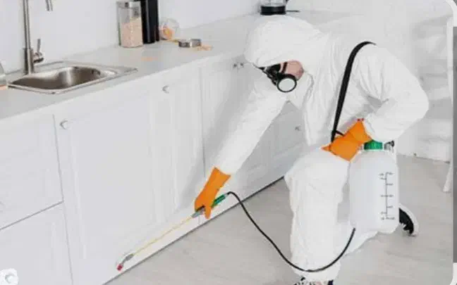 هرس کاری و سم پاشی باغ ومنازل|خدمات باغبانی و درختکاری|صباشهر, |دیوار