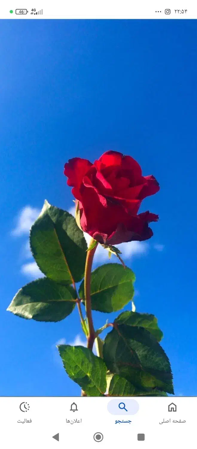 منزل اجاره ای تک خواب هم کف املاک اوپال|اجارهٔ خانه و ویلا|اقلید, |دیوار