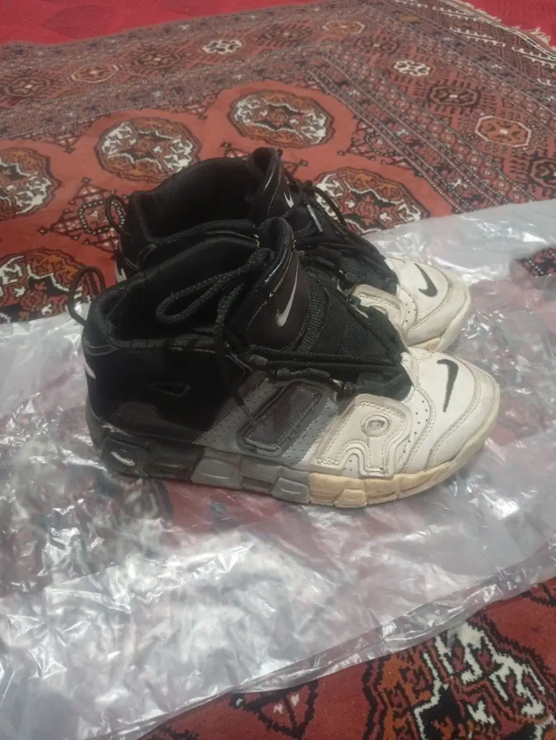 شخصی|کیف، کفش، کمربند|گنبد کاووس, |دیوار