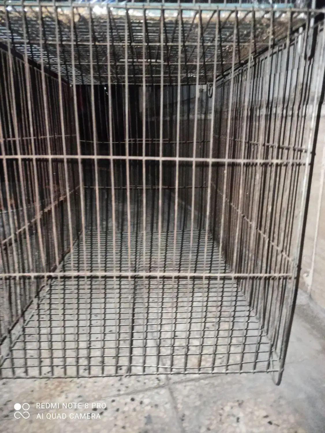 قفس|لوازم جانبی حیوانات|نسیم‌شهر, |دیوار