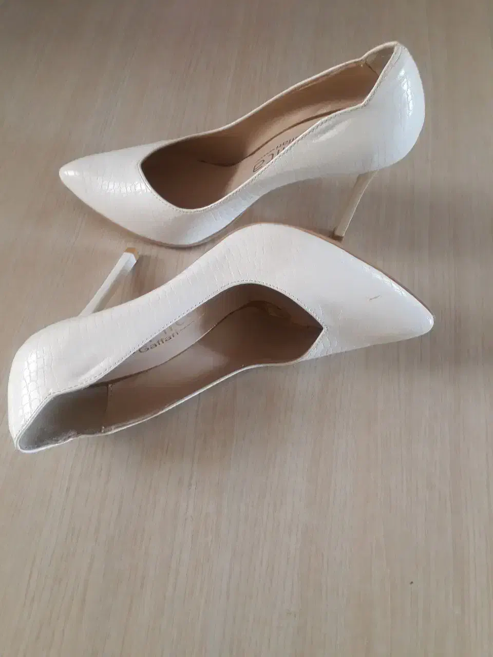 کفش|کیف، کفش، کمربند|مرند, |دیوار