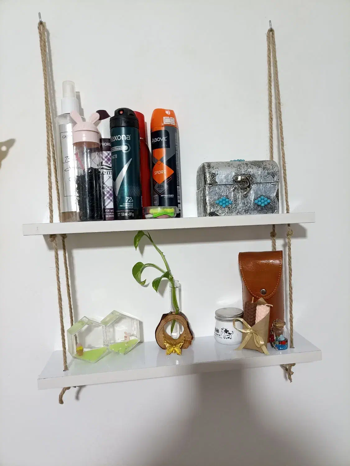 گل و گیاه|گل و گیاه طبیعی|قم, نوبهار|دیوار