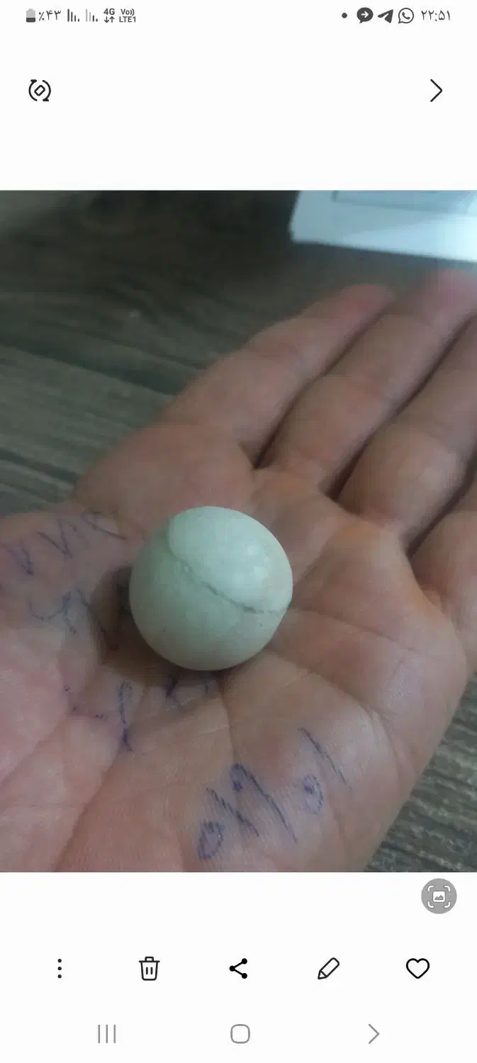 سنگ اسیاب سنگ دعا|کلکسیون اشیاء عتیقه|قدس, شهر‌قدس|دیوار