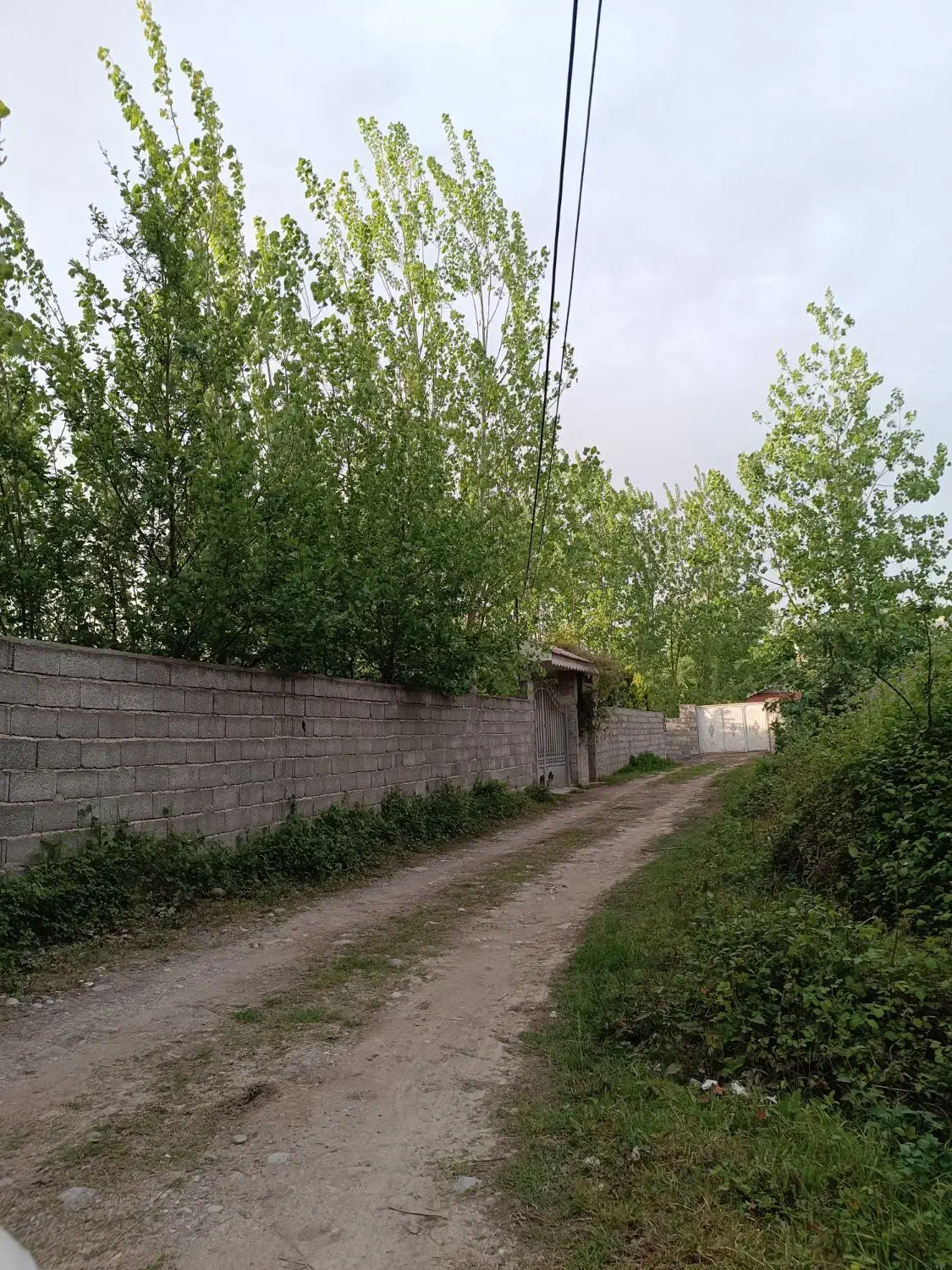 زمین /کاربری مسکونی/گیلان/دنج/نزدیک زیبا کنار|فروش زمین و ملک کلنگی|آستانه اشرفیه, |دیوار