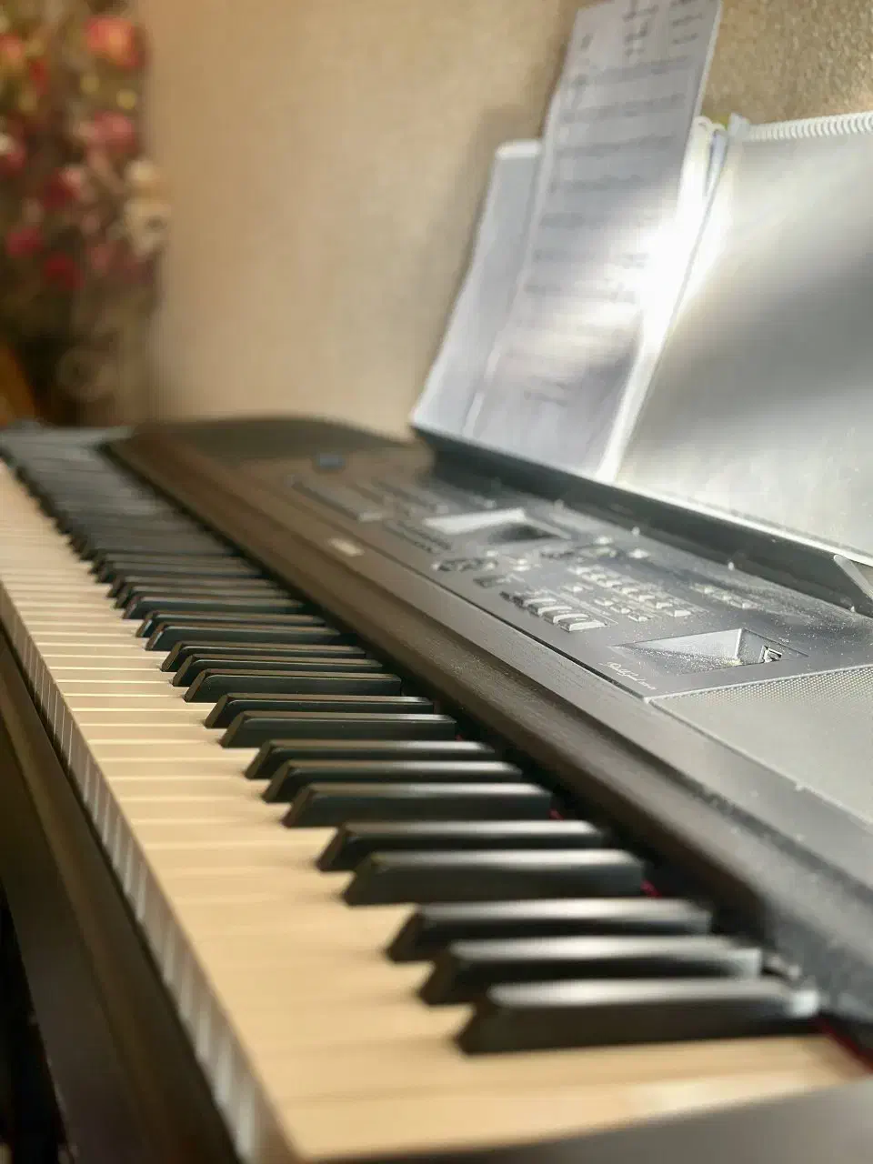پیانو دیجیتال|پیانو، کیبورد، آکاردئون|دماوند, گیلاوند|دیوار
