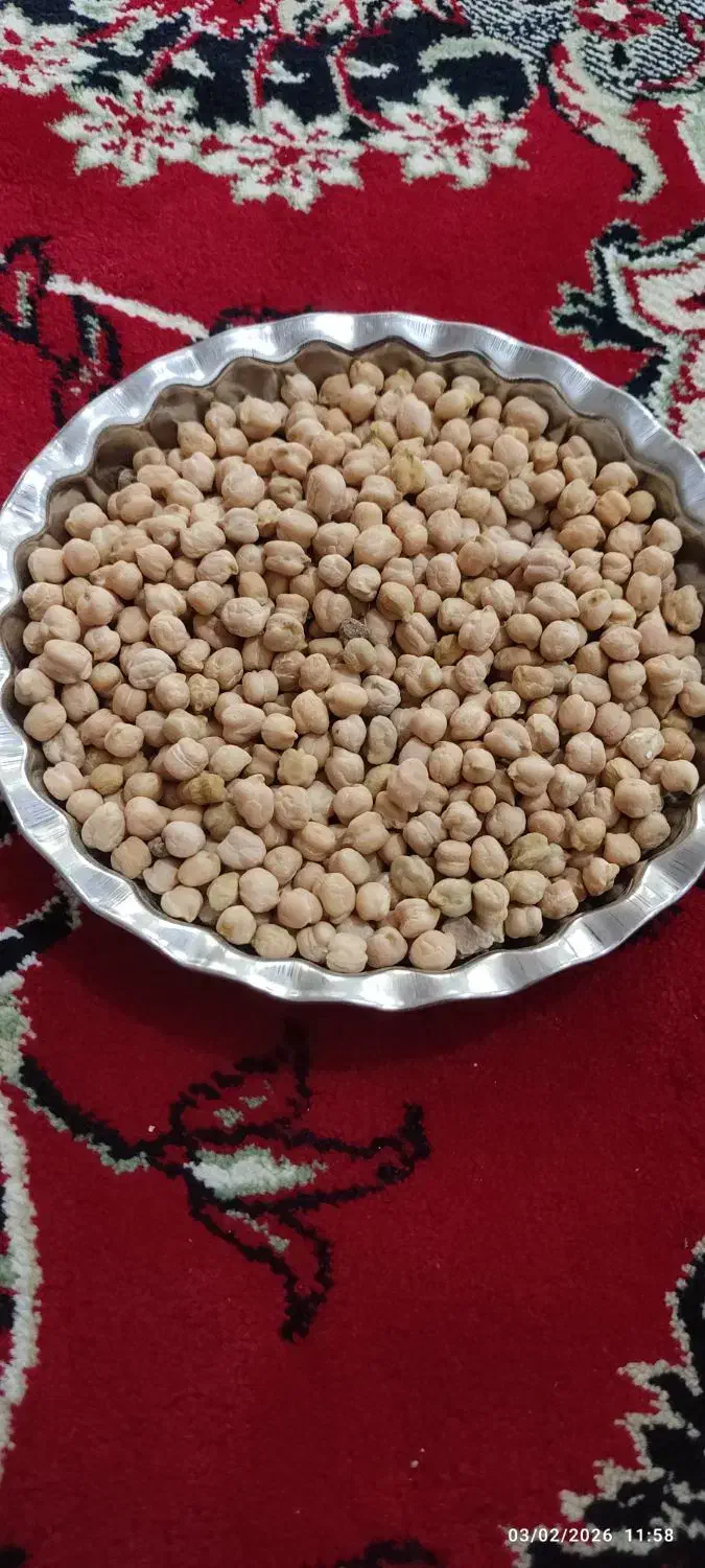 نخود دیمی|عمده‌فروشی|کبودرآهنگ, |دیوار