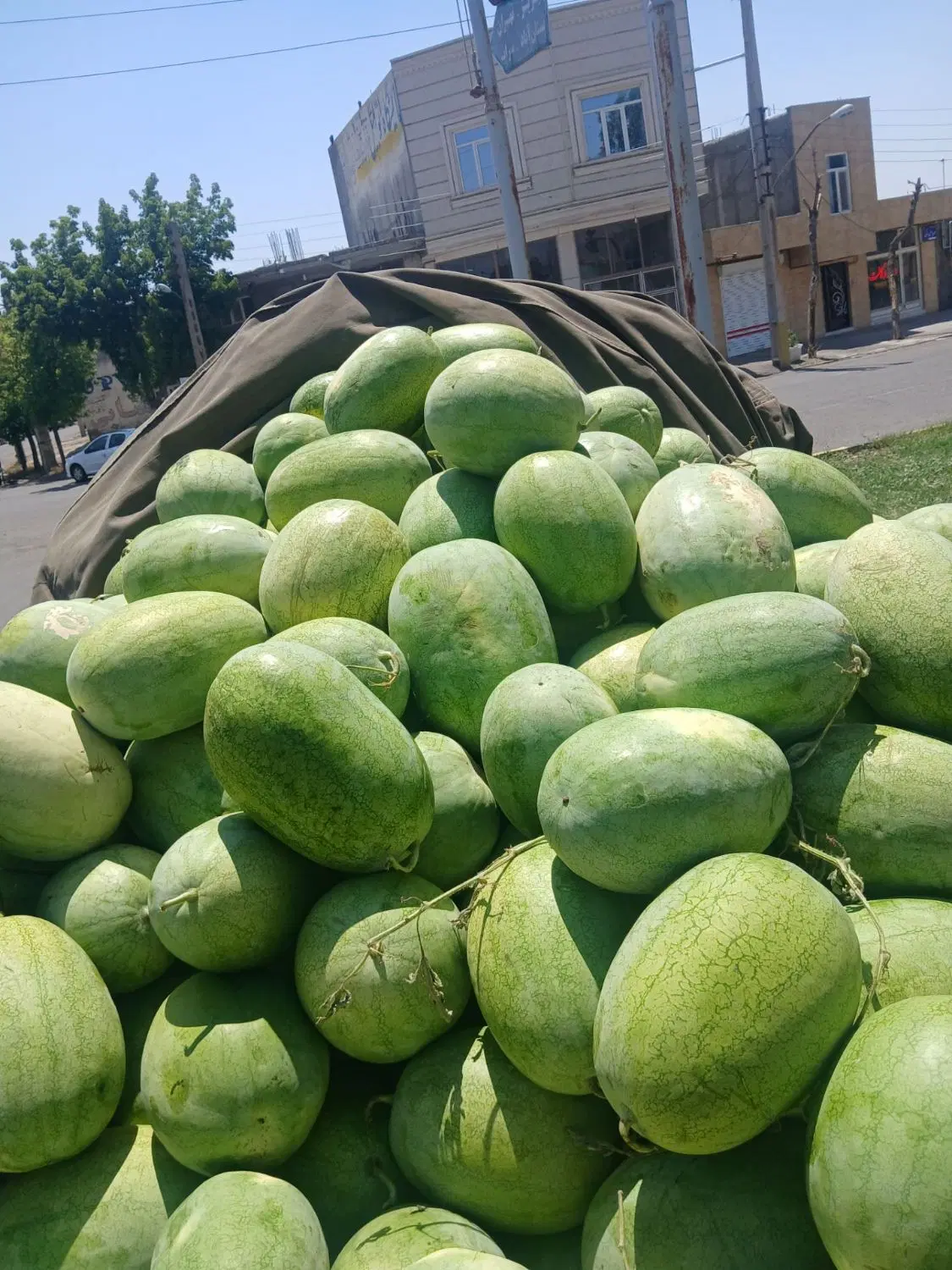 هریس|خوردنی و آشامیدنی|مهربان, |دیوار