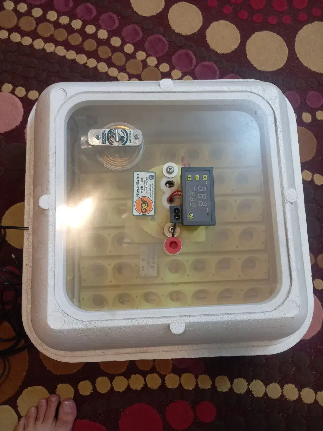 دستگاه جوجه کشی ۴۲|لوازم جانبی حیوانات|تهران, قصر فیروزه ۱|دیوار