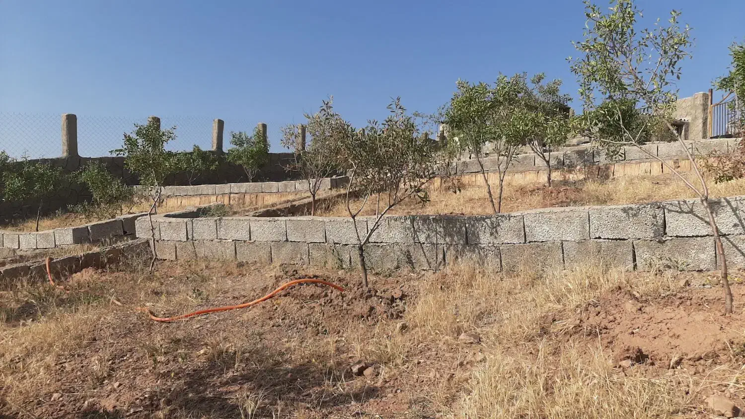 باغ فروشی در روستای مزرعه|فروش خانه و ویلا|صوفیان, |دیوار