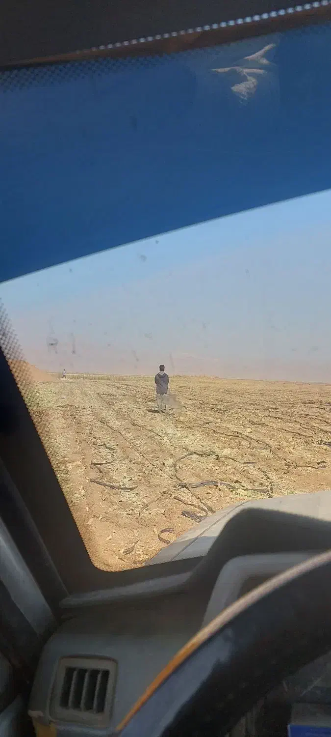 خرید تیپ ضایعاتی تحویل خنجشت۳۷تا۴۰تومان تسویه نقد|خدمات باغبانی و درختکاری|اقلید, |دیوار