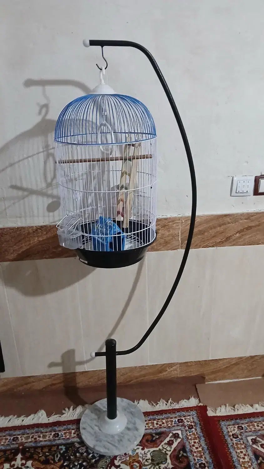 قفس|لوازم جانبی حیوانات|رستم, |دیوار