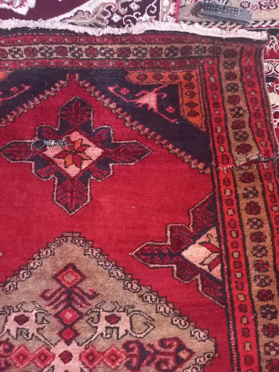 فرش طبیعی|فرش|اردبیل, |دیوار