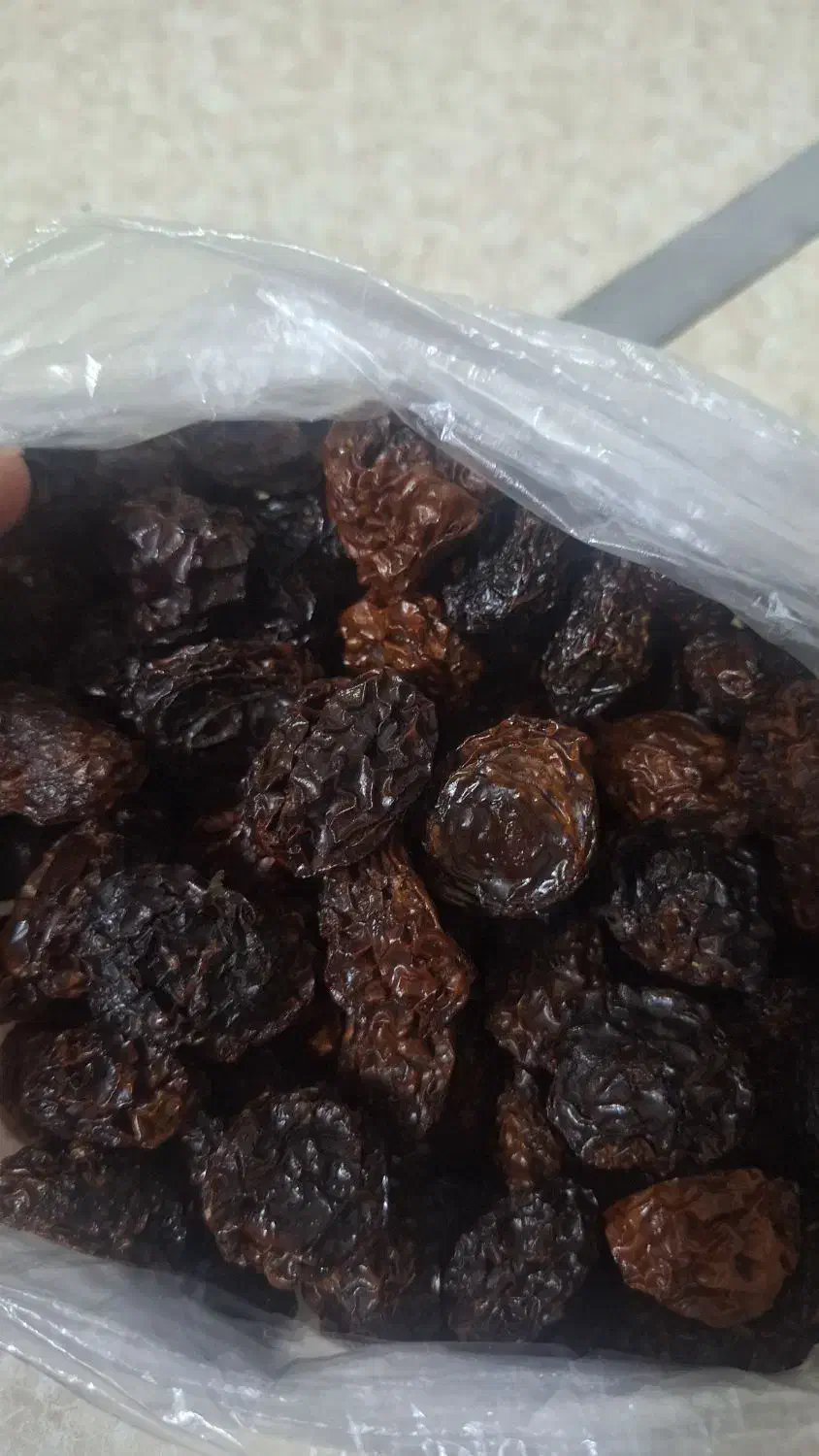 الو تروتمیز۱۵۰|خوردنی و آشامیدنی|میاندوآب, |دیوار